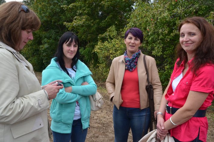 Nowe oblicze kukurydzy GALERIA