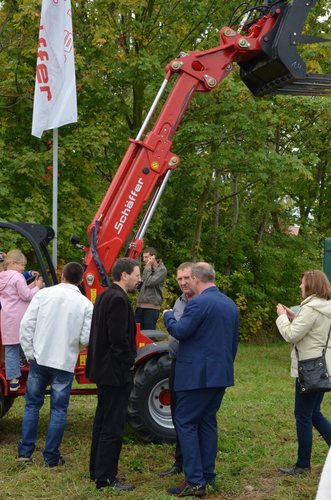 Nowe oblicze kukurydzy GALERIA