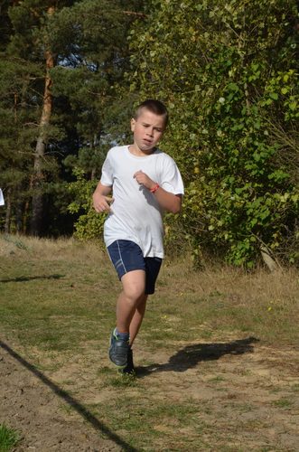 Wyścigi po kasztelańskiej ziemi GALERIA