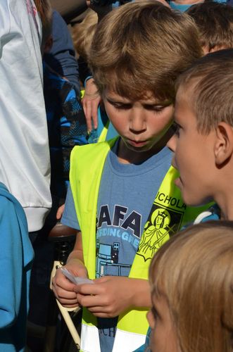 Na dwóch kółkach po zdrowie. W rekordowej liczbie! GALERIA