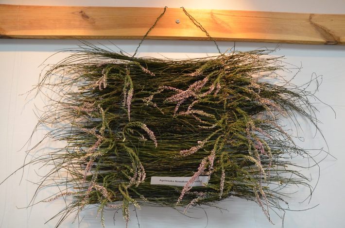 Tak jesień wygląda w 2014 roku GALERIA