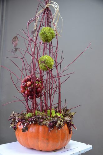 Tak jesień wygląda w 2014 roku GALERIA