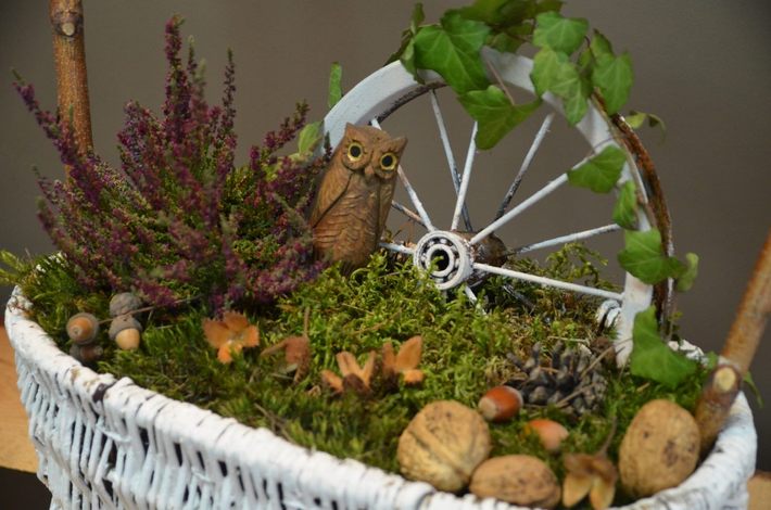 Tak jesień wygląda w 2014 roku GALERIA