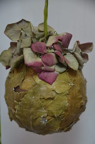 Tak jesień wygląda w 2014 roku GALERIA