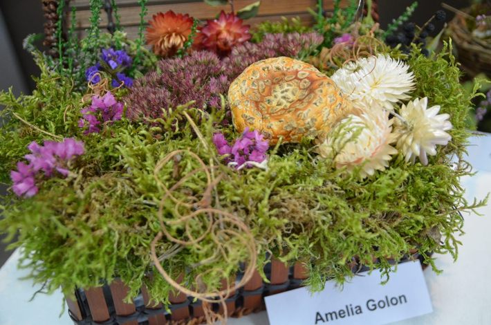 Tak jesień wygląda w 2014 roku GALERIA