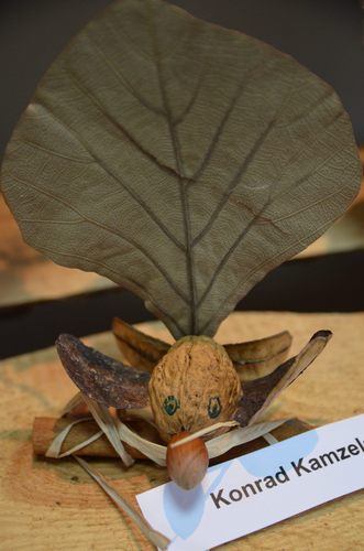 Tak jesień wygląda w 2014 roku GALERIA