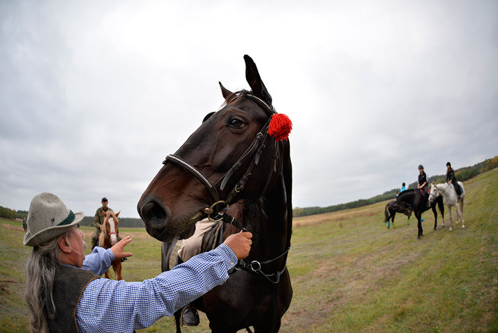 Sezon na pogoń za lisem rozpoczęty