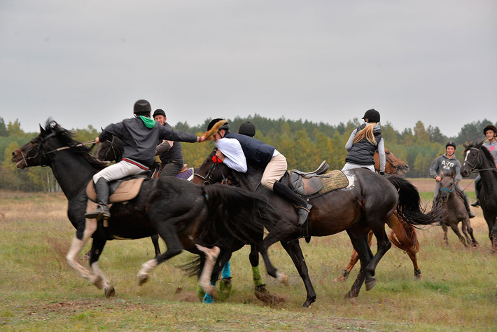 Sezon na pogoń za lisem rozpoczęty