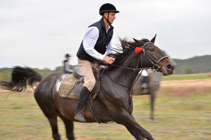 Sezon na pogoń za lisem rozpoczęty