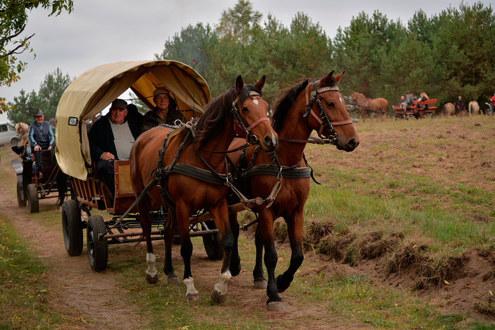 Sezon na pogoń za lisem rozpoczęty