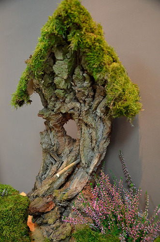 Tak jesień wygląda w 2014 roku