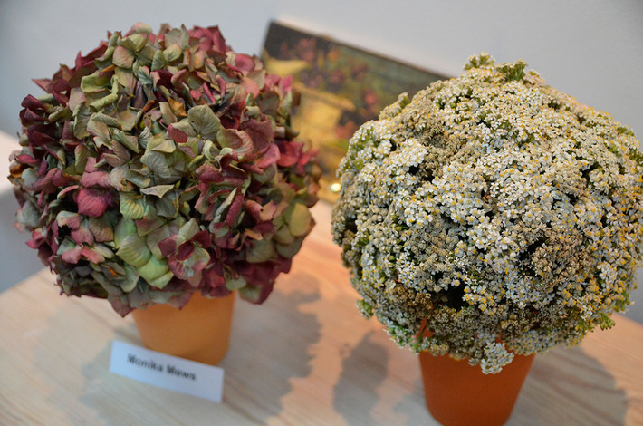 Tak jesień wygląda w 2014 roku