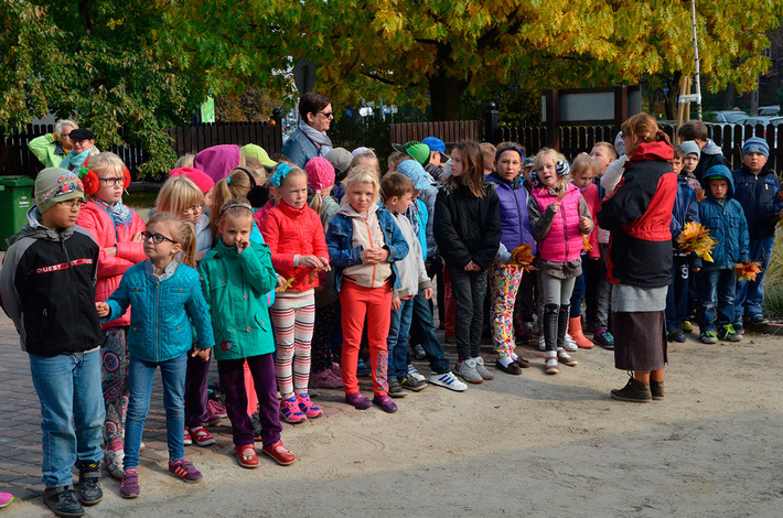 Jak bory, to przecież i grzyby