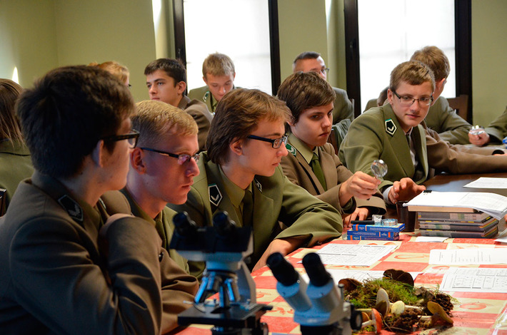 Jak bory, to przecież i grzyby