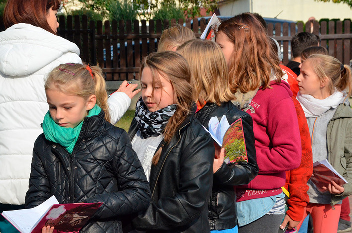 Jak bory, to przecież i grzyby