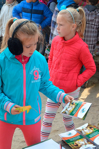 Jak bory, to przecież i grzyby