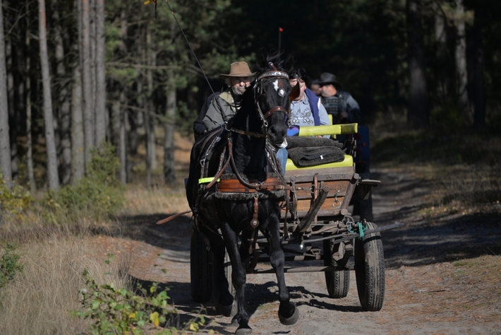 Hubertus Okoniny 2014 - FOTO