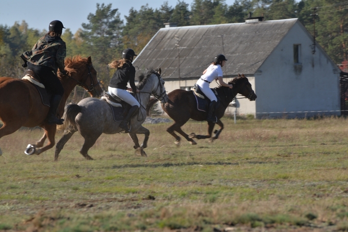 Hubertus Okoniny 2014 - FOTO