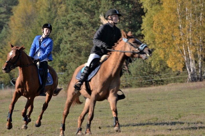 Hubertus Okoniny 2014 - FOTO