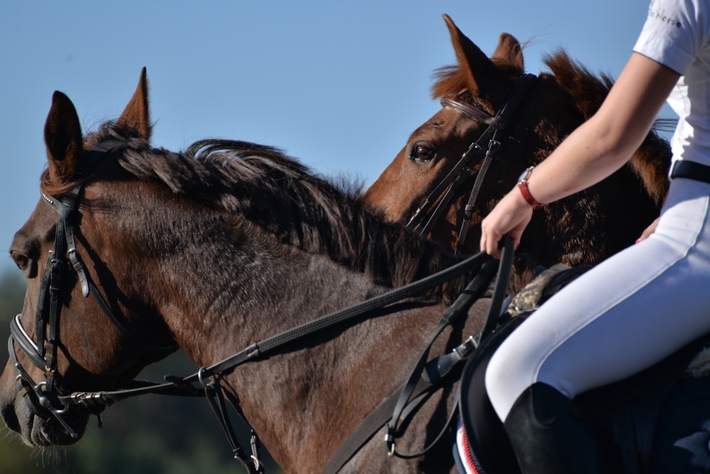 Hubertus Okoniny 2014 - FOTO