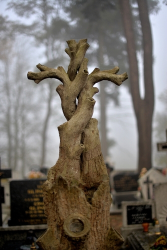 Zbierają na nekropolię - FOTO