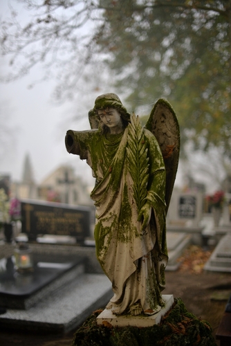 Zbierają na nekropolię - FOTO