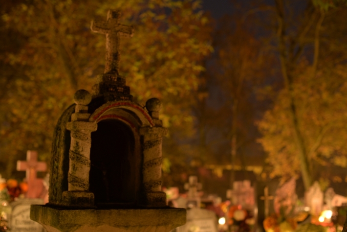 Zebrano najwięcej od początku akcji - FOTO