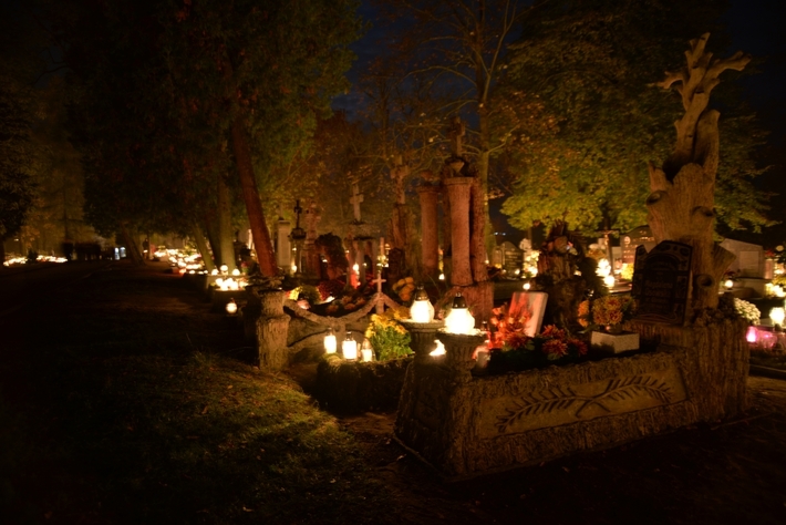 Zebrano najwięcej od początku akcji - FOTO