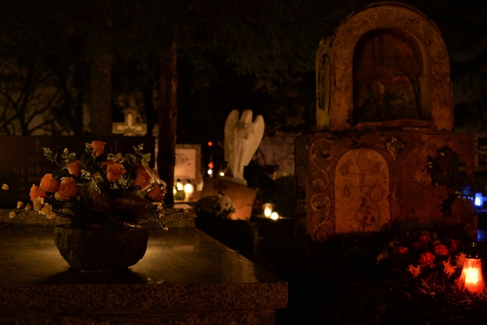 Zebrano najwięcej od początku akcji - FOTO
