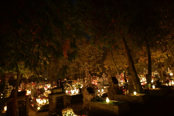 Zebrano najwięcej od początku akcji - FOTO