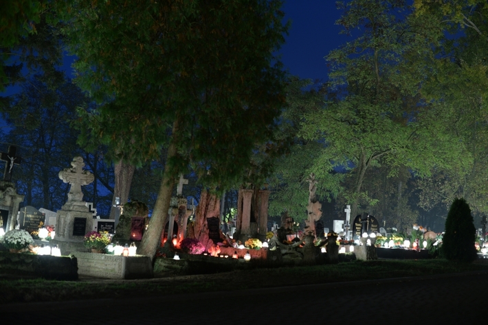 Zebrano najwięcej od początku akcji - FOTO