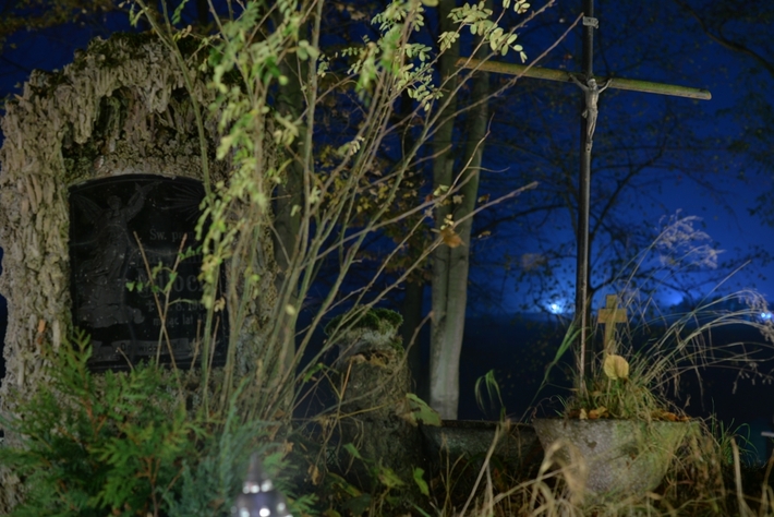 Zebrano najwięcej od początku akcji - FOTO