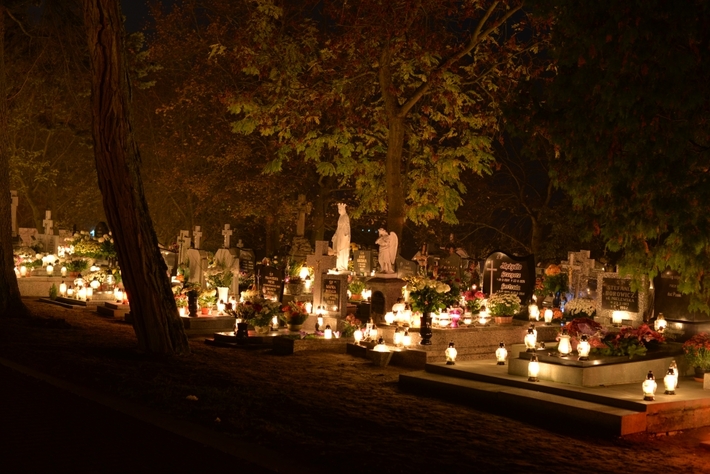 Zebrano najwięcej od początku akcji - FOTO