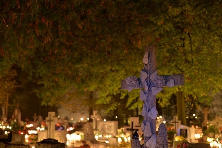 Zebrano najwięcej od początku akcji - FOTO