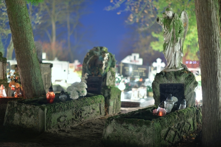 Zebrano najwięcej od początku akcji - FOTO