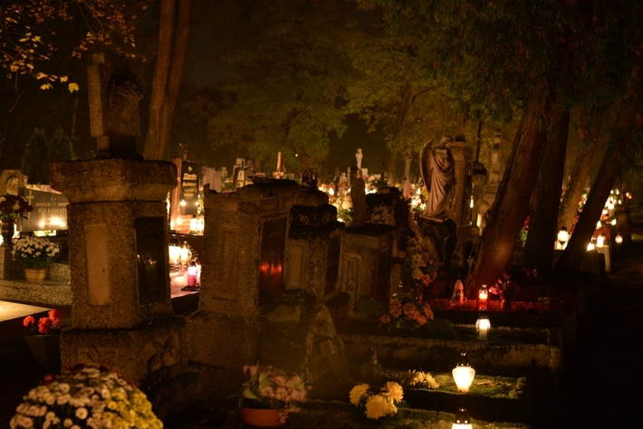 Zebrano najwięcej od początku akcji - FOTO