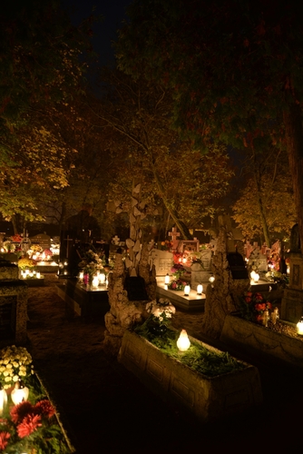 Zebrano najwięcej od początku akcji - FOTO