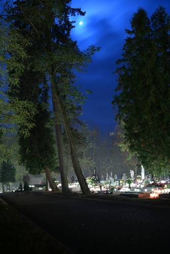 Zebrano najwięcej od początku akcji - FOTO