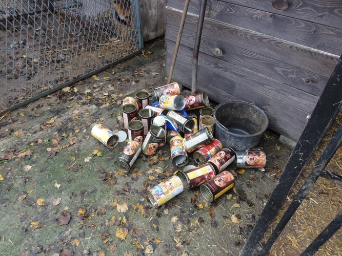 Znęcają się nad zwierzętami? ZDJĘCIA