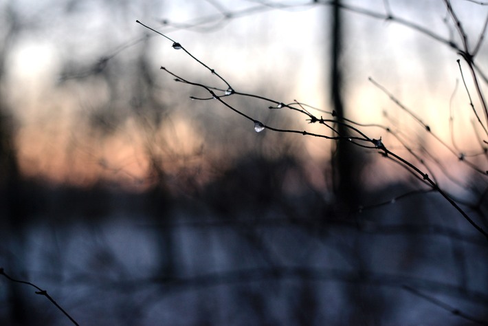 Przywitaliśmy nowy rok i... zimę   ZDJĘCIA