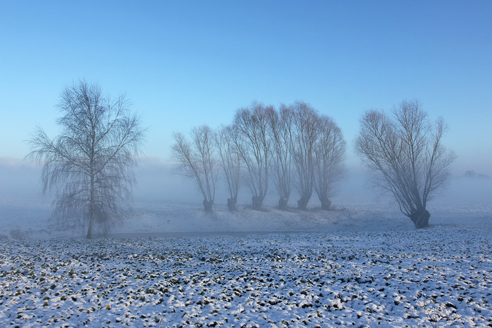 Przywitaliśmy nowy rok i... zimę   ZDJĘCIA