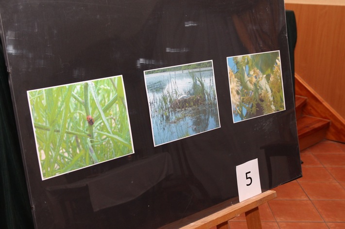 KĘSOWO Rozstrzygnęli miłosny konkurs fotograficzny (ZDJĘCIA)