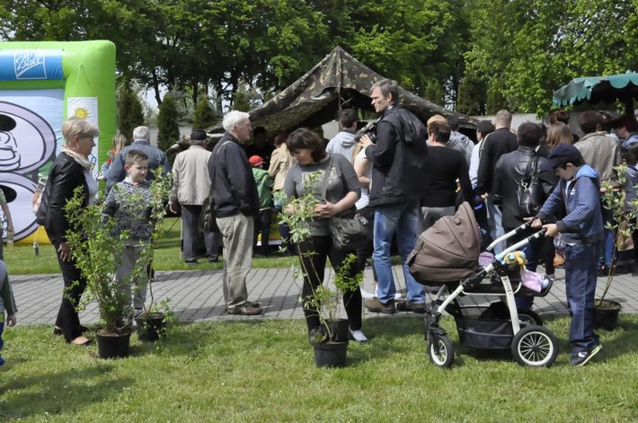 Tuchola: Rozdano 700 drzew i krzewów - ZDJĘCIA
