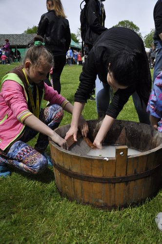 Tuchola: Rozdano 700 drzew i krzewów - ZDJĘCIA