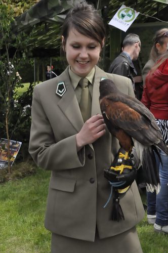 Tuchola: Rozdano 700 drzew i krzewów - ZDJĘCIA