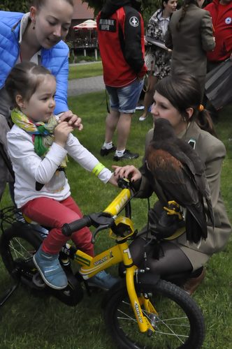 Tuchola: Rozdano 700 drzew i krzewów - ZDJĘCIA