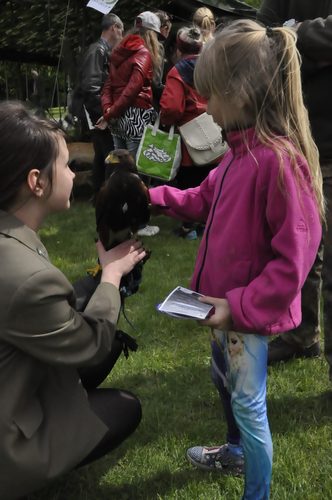 Tuchola: Rozdano 700 drzew i krzewów - ZDJĘCIA