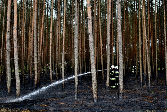 Gostycyn: Pożar w Nogawicy - ZDJĘCIA