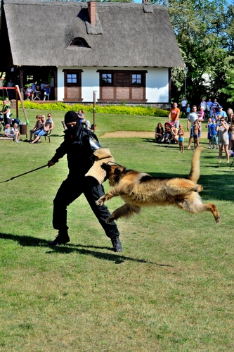Cekcyn: Ćwiczenia ratowników WOPR i OSP - ZDJĘCIA