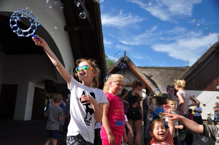 Cekcyn: Piknik Malucha 2015 - ZDJĘCIA